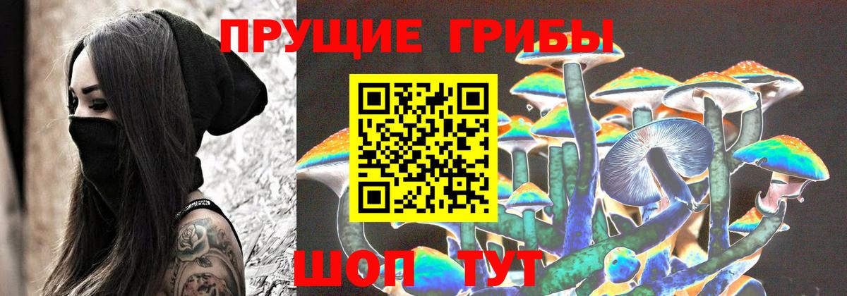 Псилоцибиновые грибы GOLDEN TEACHER  Псилоцибиновые грибы Psilocybine cubensis  Вход с VPN  Уфа 