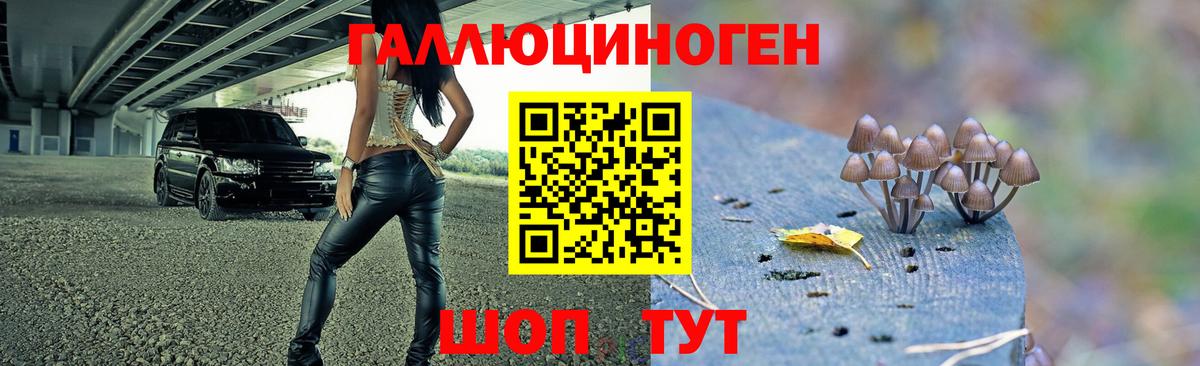 Галлюциногенные грибы Cubensis Уфа