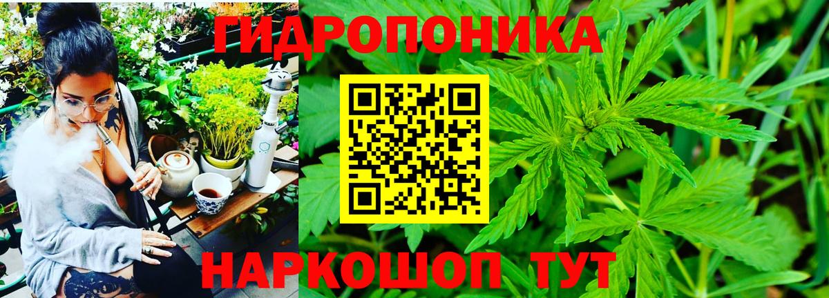 Конопля план Уфа